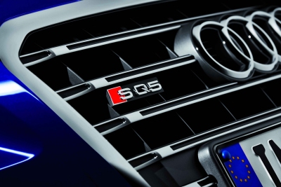 Audi SQ5 Tdi Grille